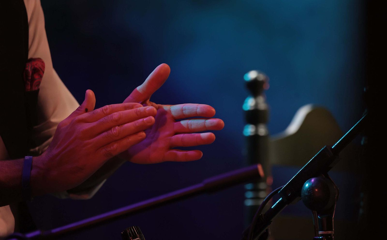 Fotos del concierto de Argentina en el Encuentro de Guitarra Paco de Lucía