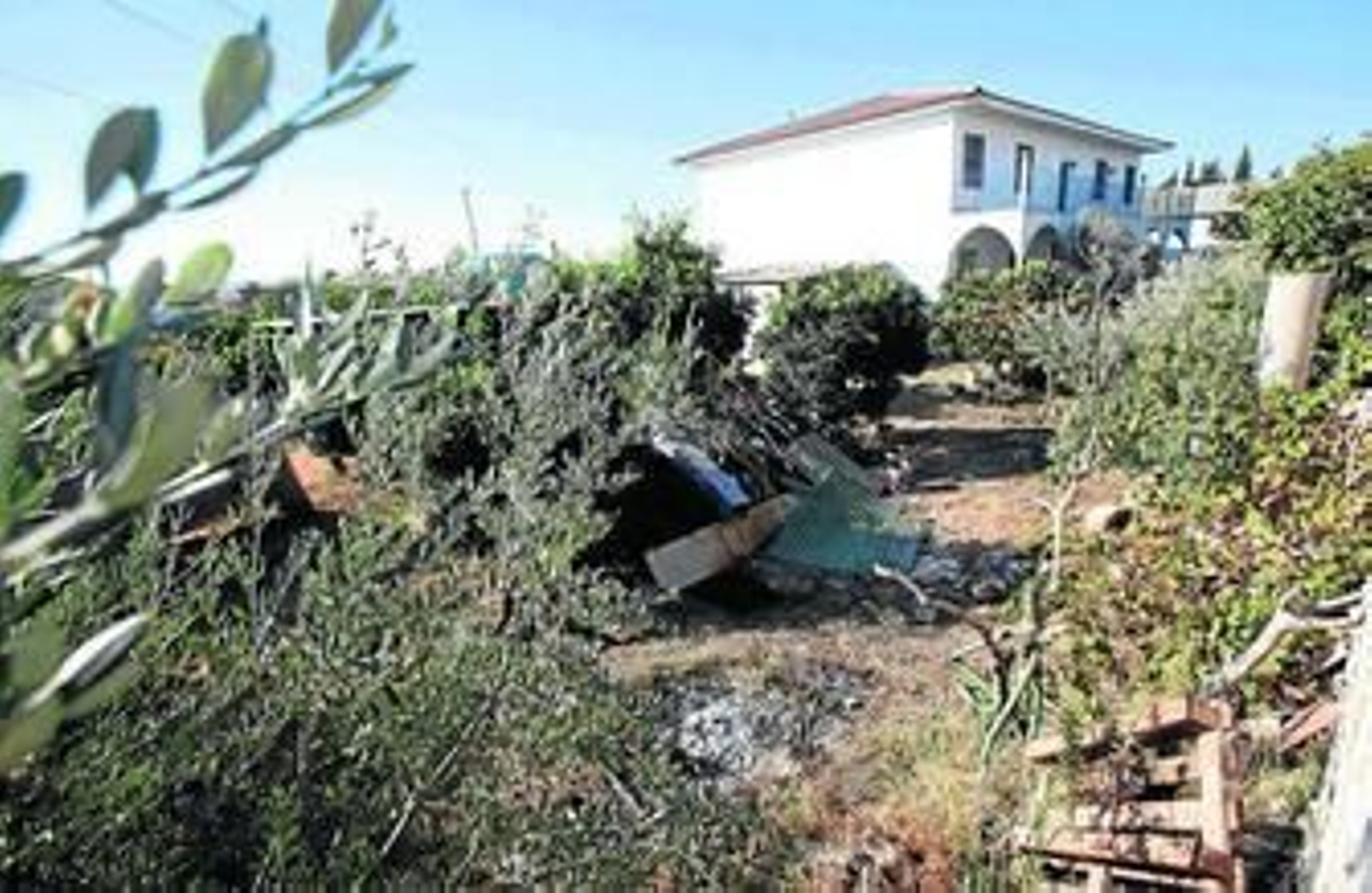 La parcela de Las Quemadillas, con el resto de la hoguera en primer plano.