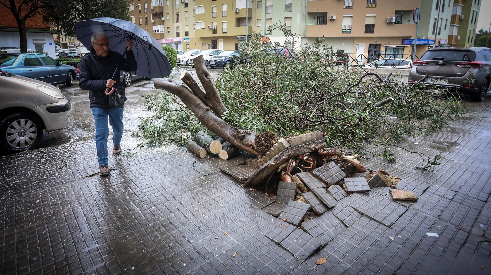 La borrasca Karlotta provoca inundaciones en algunas zonas de Jerez