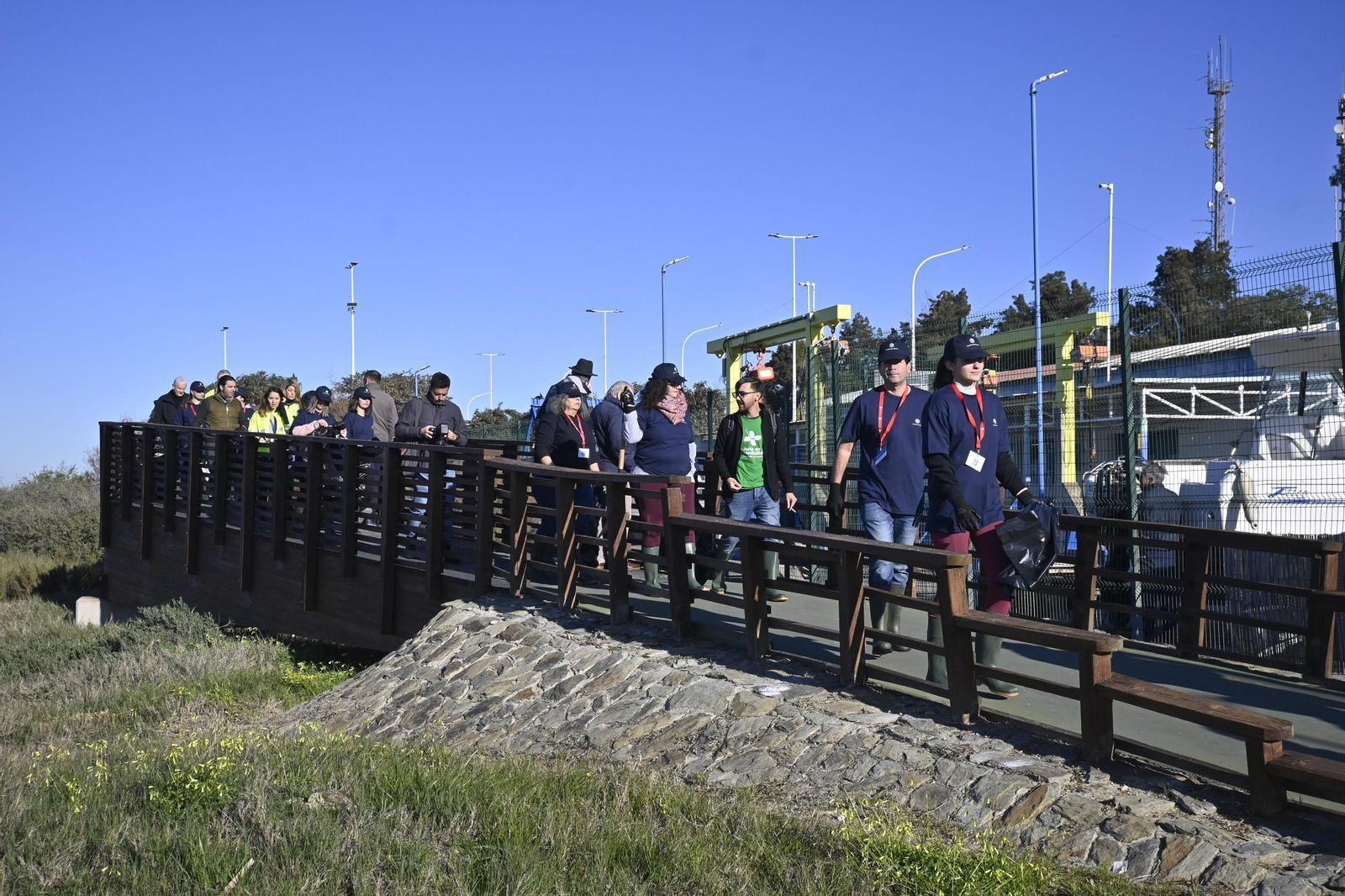 Plantación de la especie autóctona Espartina Marítima en imágenes
