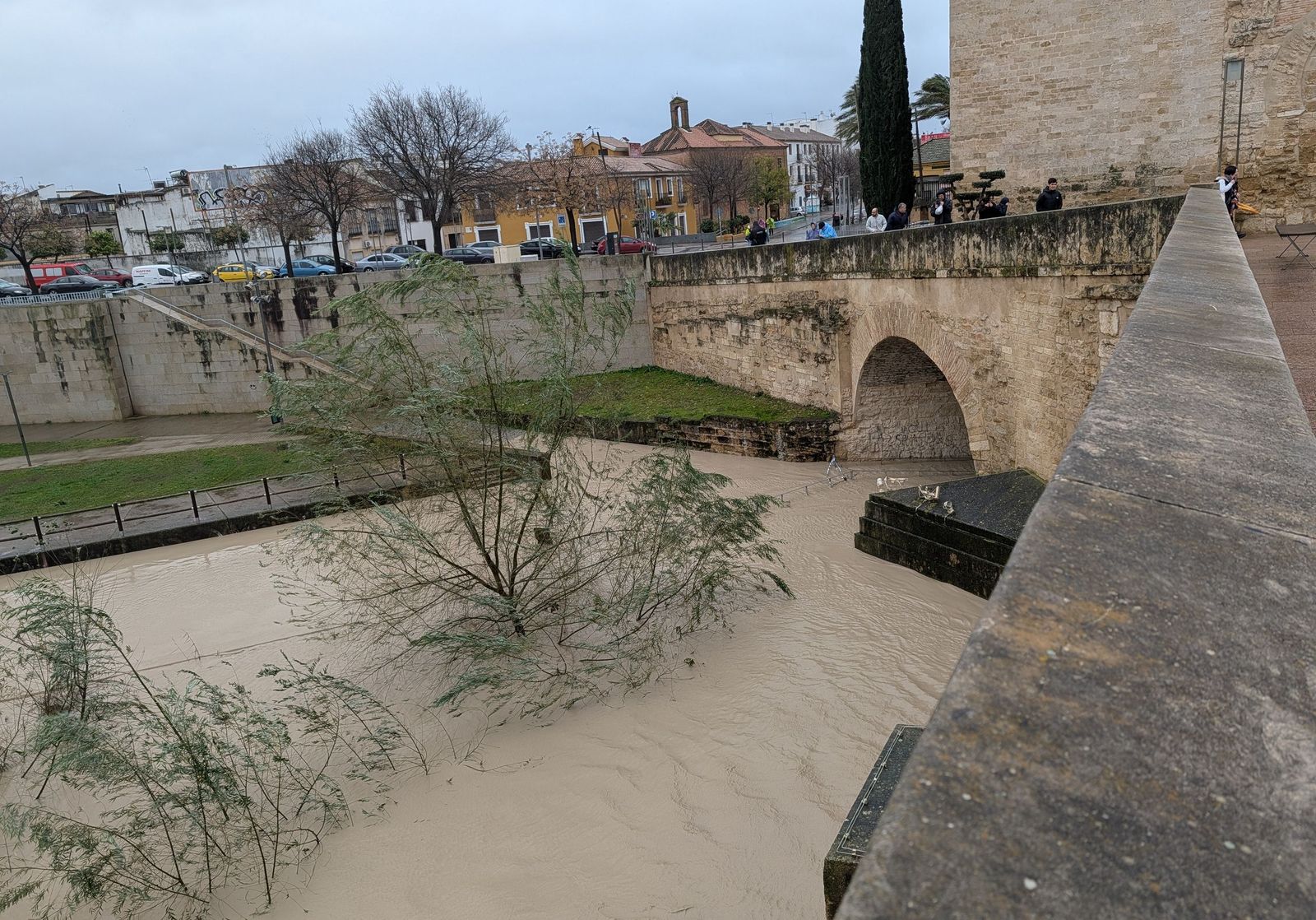 El río Guadalquivir supera los cuatro metros de altura a su paso por Córdoba, en imágenes