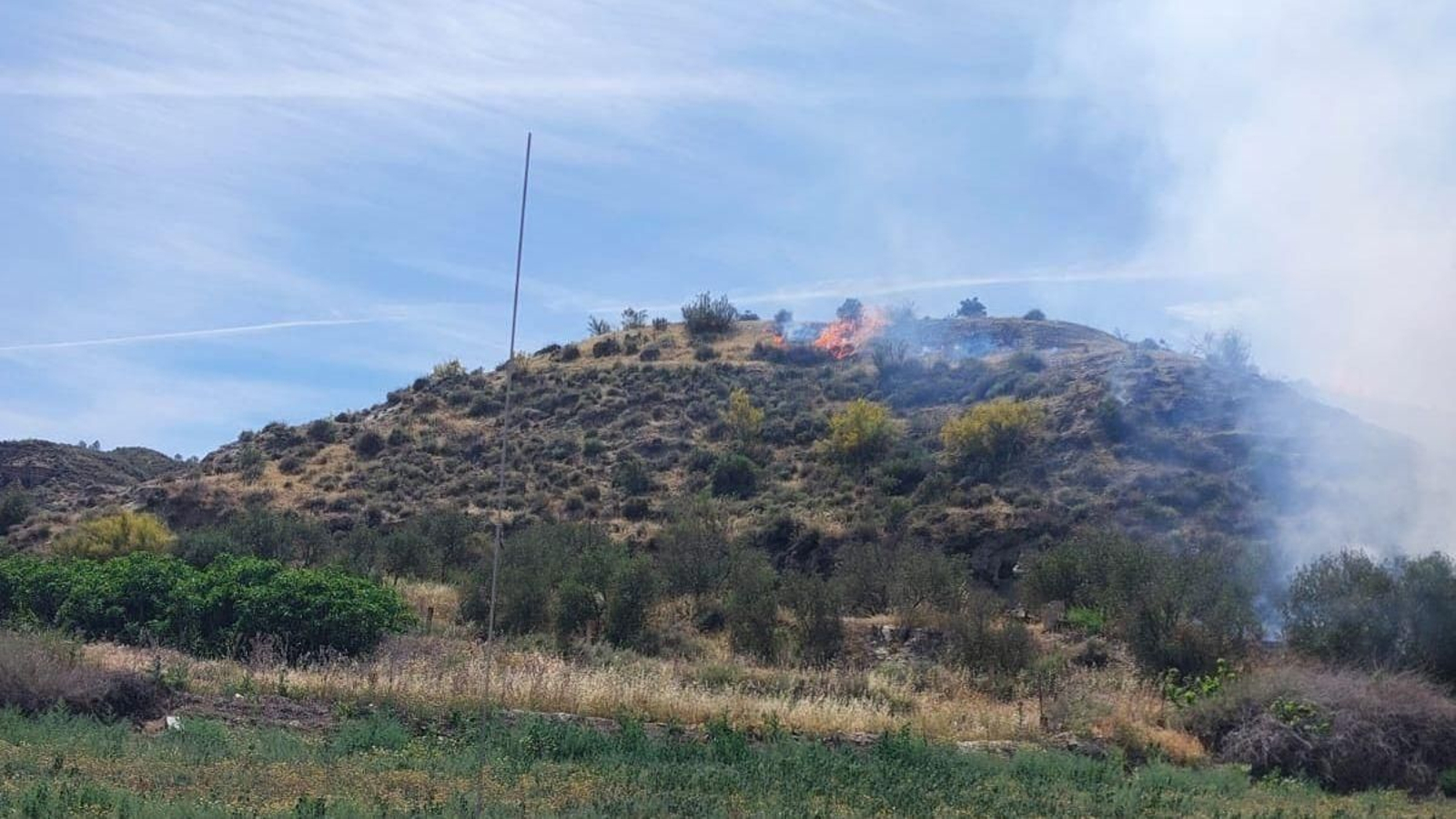 Incendio forestal en Fonelas