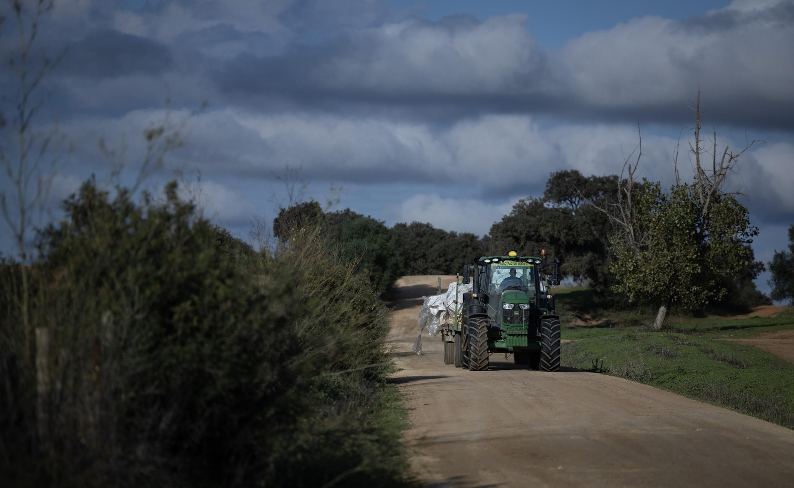 Las fotos de los cultivos en Doñana después del acuerdo sobre la regulación de regadios