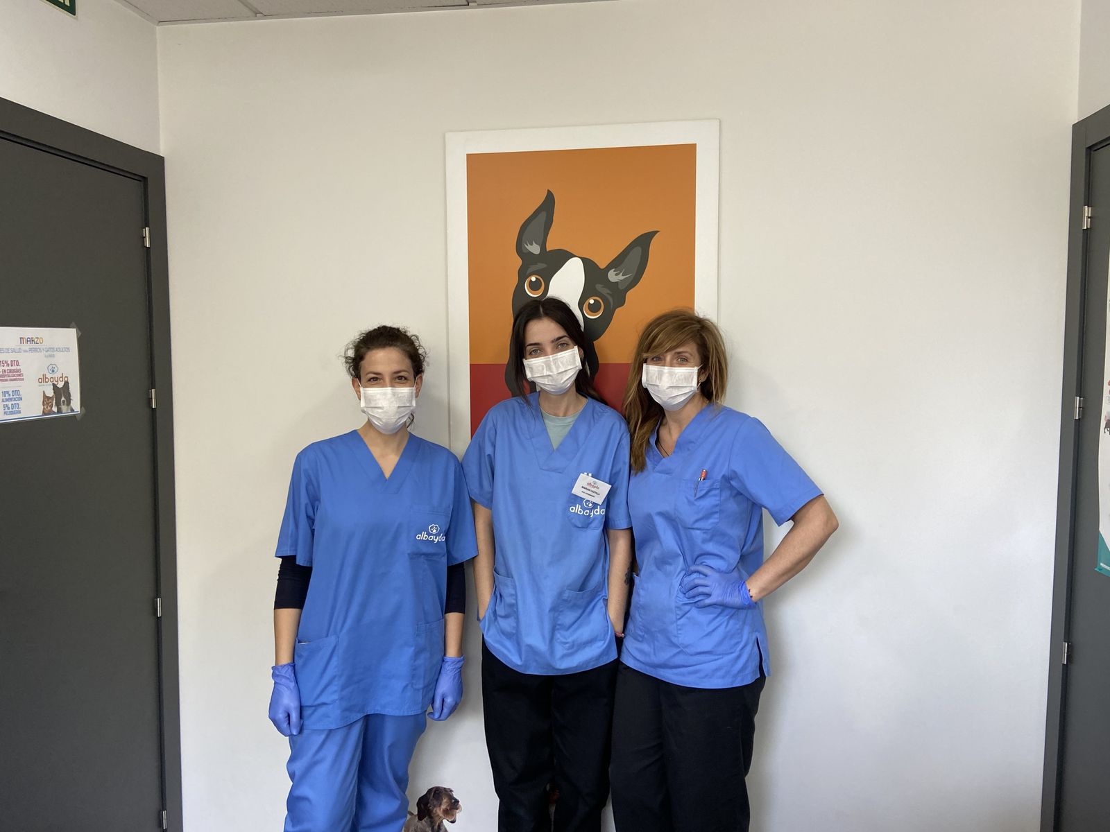 ¿Cuántos tipos de coronavirus hay y cuáles afectan a animales y a humanos?