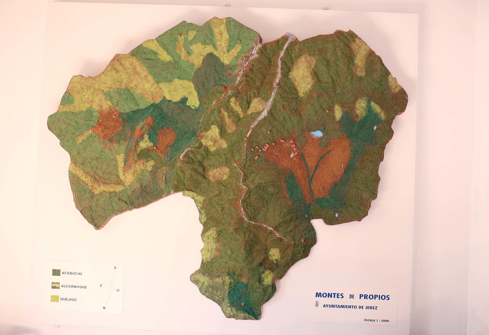 Paseo por los Montes de Propios