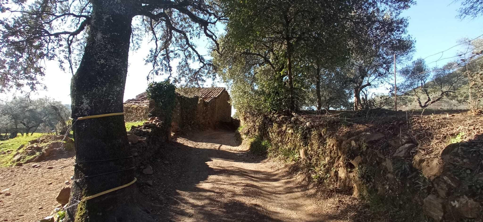 Fotos de la Ruta circular Aracena-Linares de la Sierra-Aracena