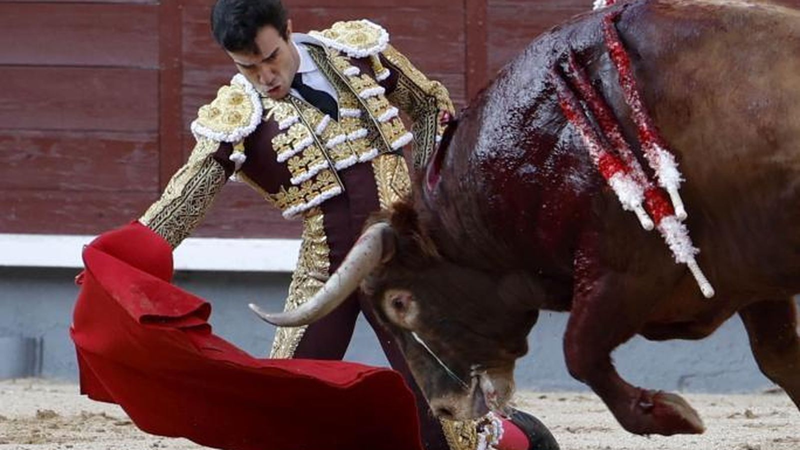 Tomás Rufo inició su faena al que cerraba plaza con redondos de rodillas.