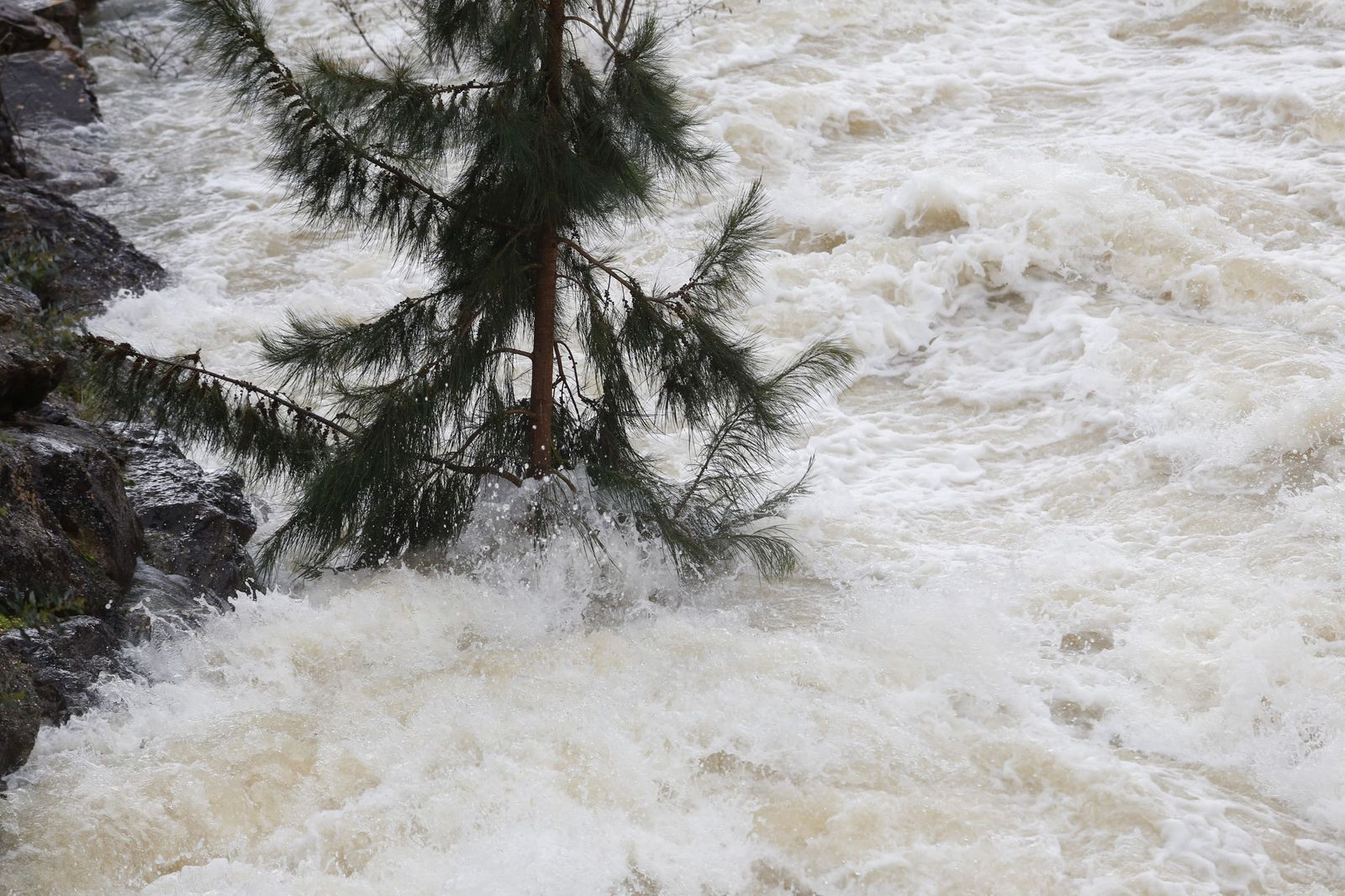 Las fotos del desembalse de agua en la presa de Charco Redondo de Los Barrios