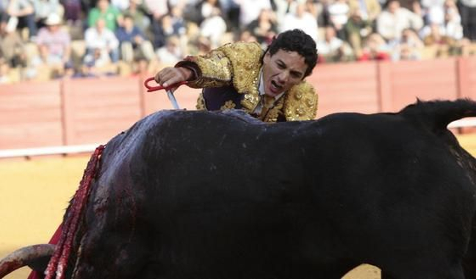 Más de una docena de estoques precisó Oliva Soto para rematar la faena a un toro con el que plasmó excelentes pasajes.

Foto: Juan Carlos Muñoz