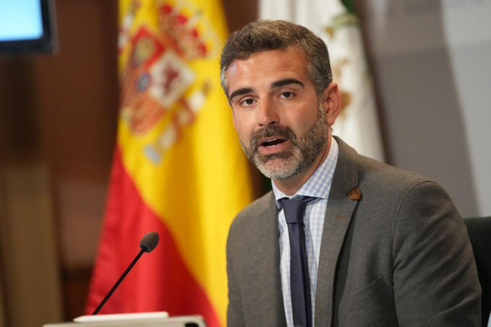 Ramón Fernández-Pacheco, portavoz del Gobierno.