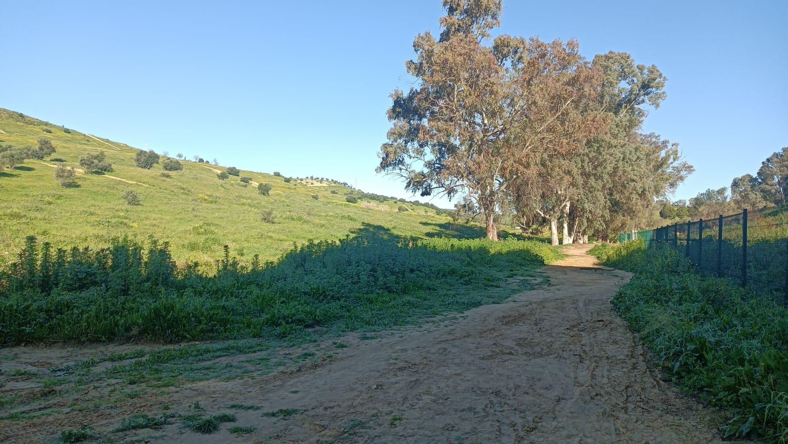 Después pasa a ser de tierra.