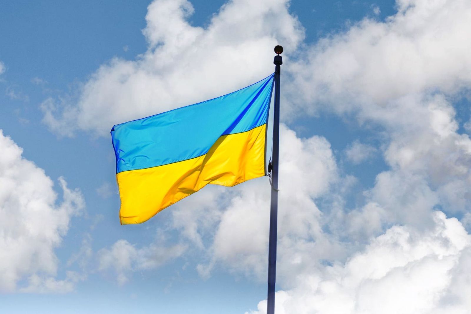 La bandera de Ucrania.