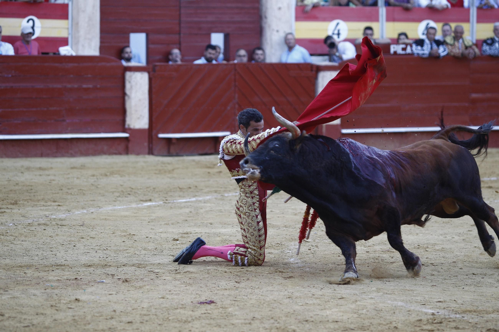 Las mejores imágenes de los toreros Fortes, Juan Ortega y David de Miranda en la Feria de Almería 2025