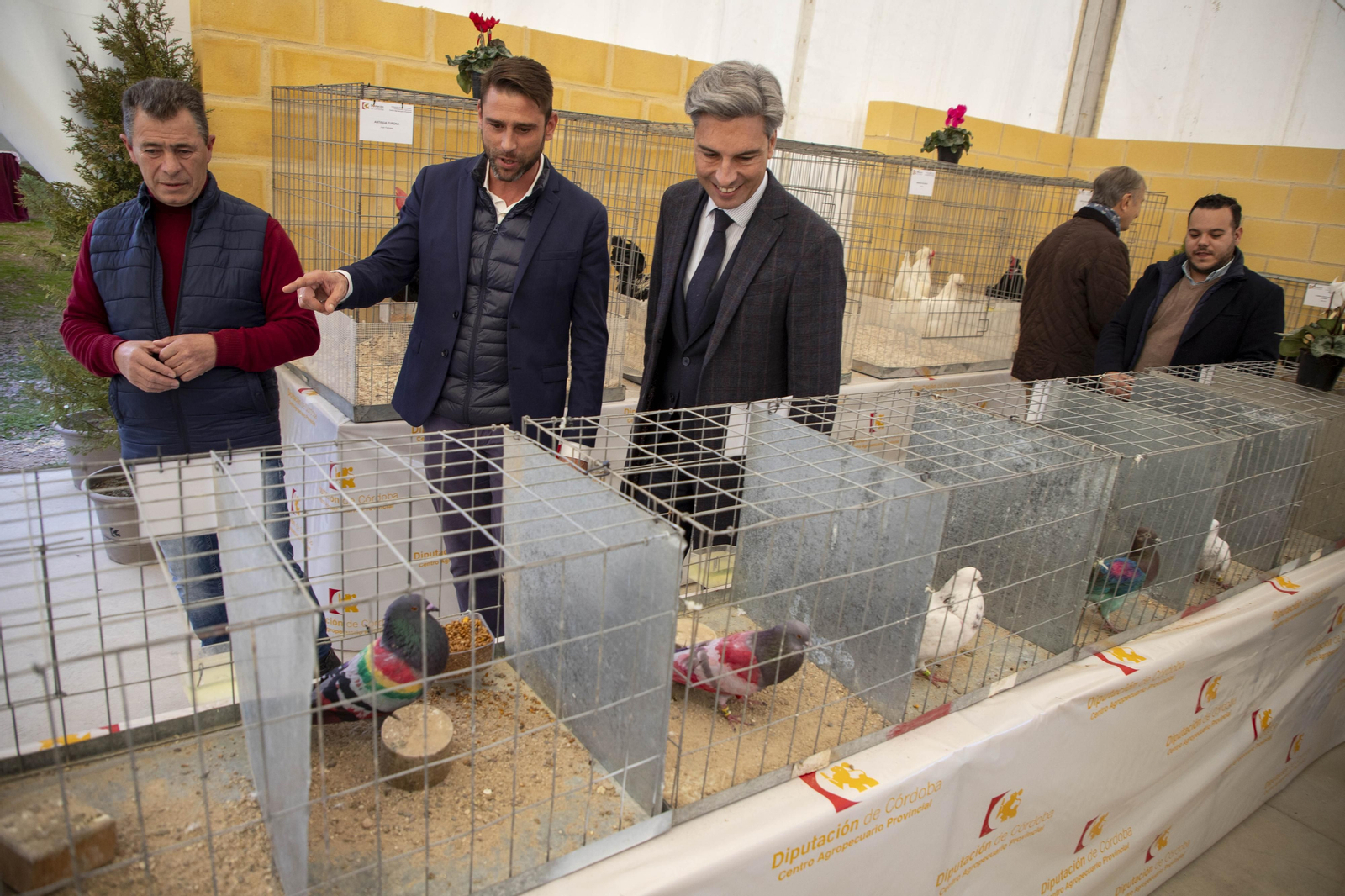 Un paseo en fotografías por Avicor, la Feria Avícola de Córdoba