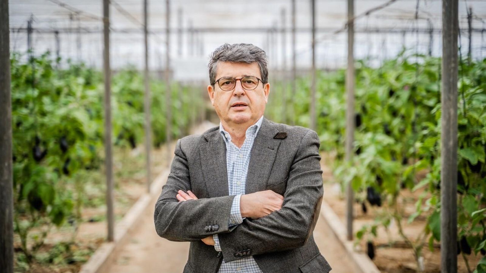 El diputado nacional del Partido Popular de Almería, Juan José Matarí.