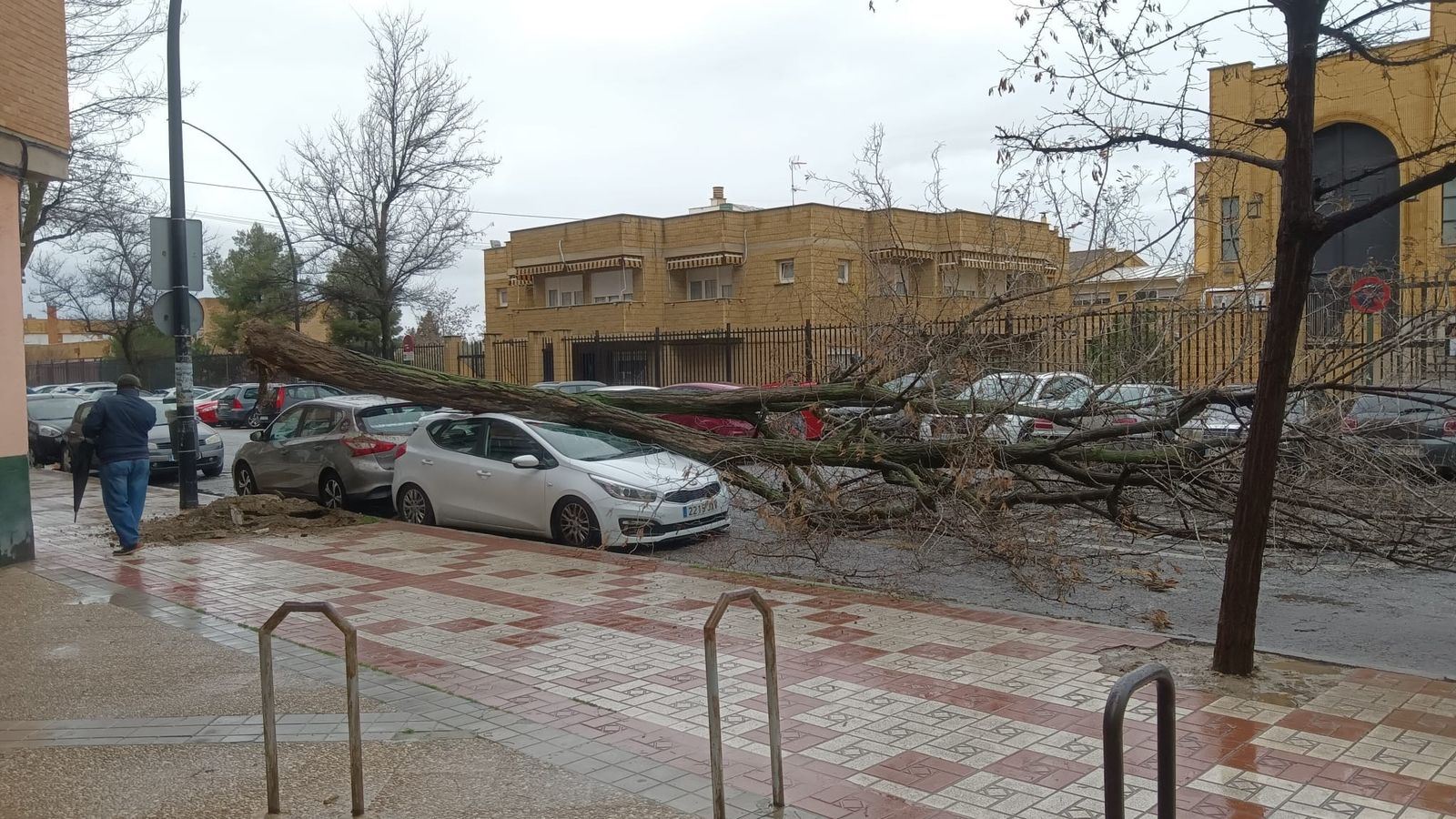Viento, agua y destrozos: las imágenes de los efectos de la borrasca en la provincia de Granada