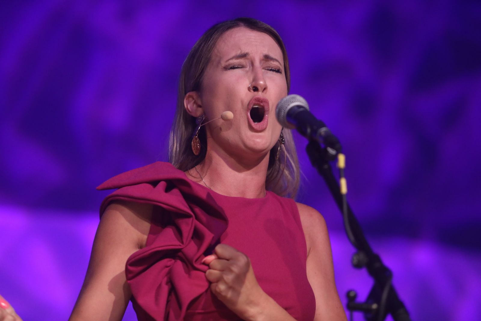 La noche flamenca en el Parque de San Fernando, en imágenes