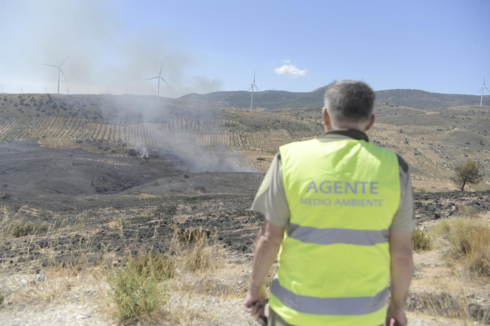 El incendio en el parque eólico de Padul, en fotos