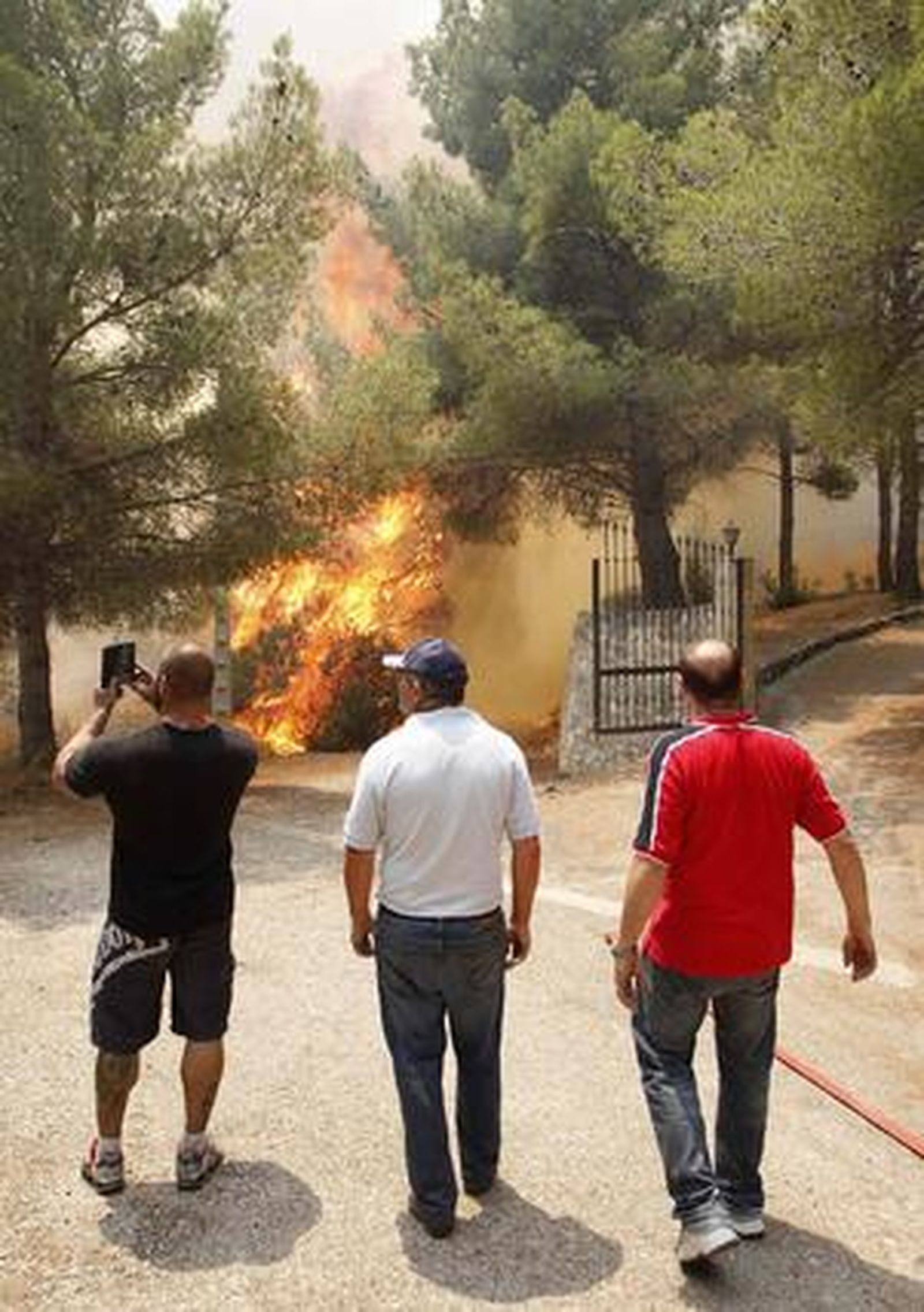 El fuego arrasa miles de hectáreas en comarcas del interior de la provincia de Valencia.

Foto: Reuters