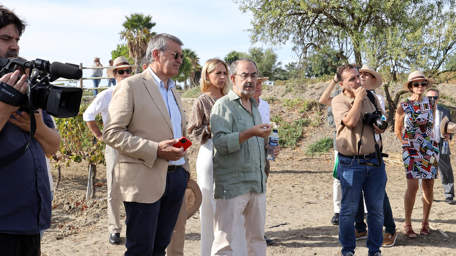 Vinos ecológicos con uva Pedro Ximénez