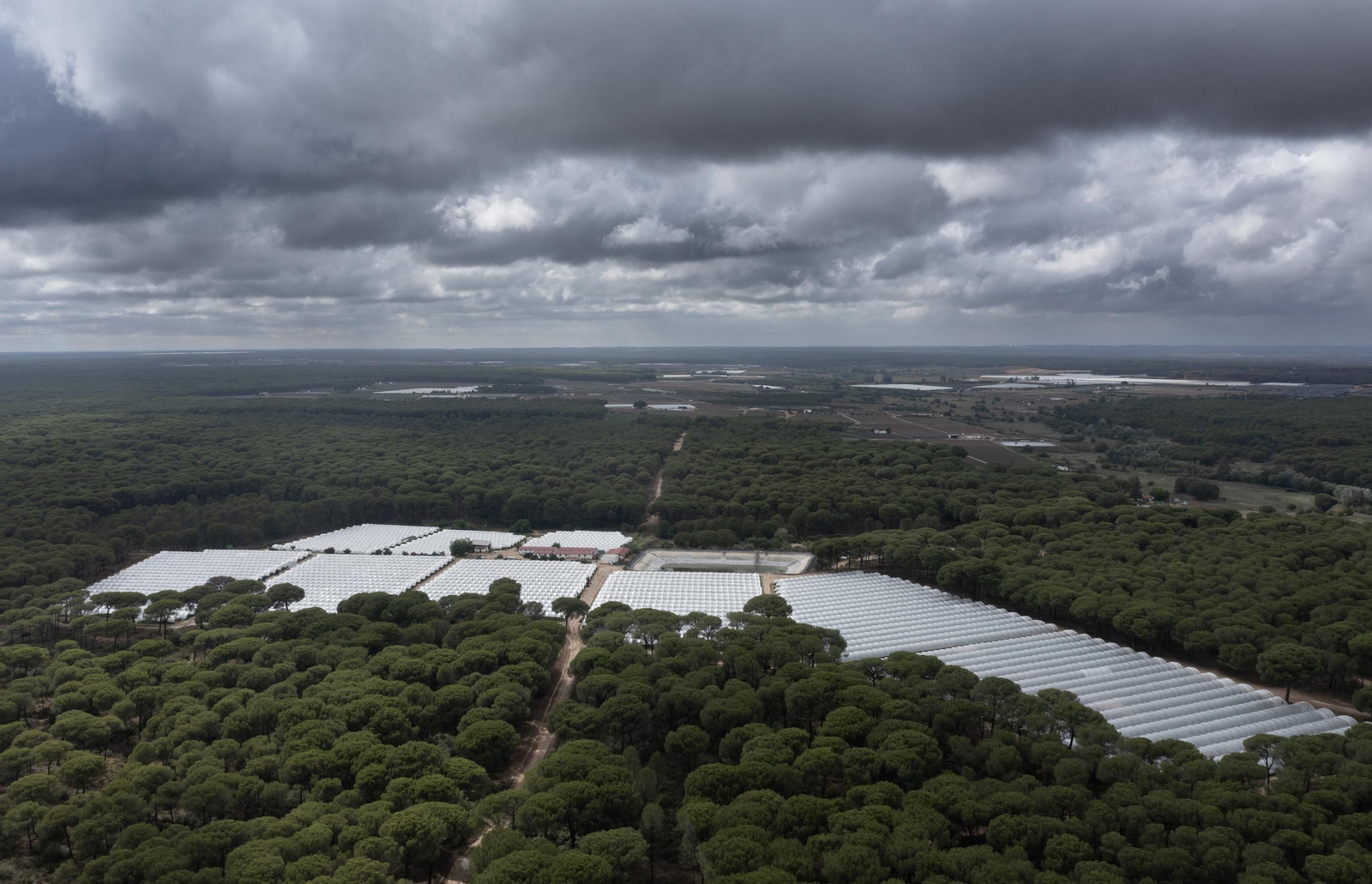 Las fotos de los cultivos en Doñana después del acuerdo sobre la regulación de regadios