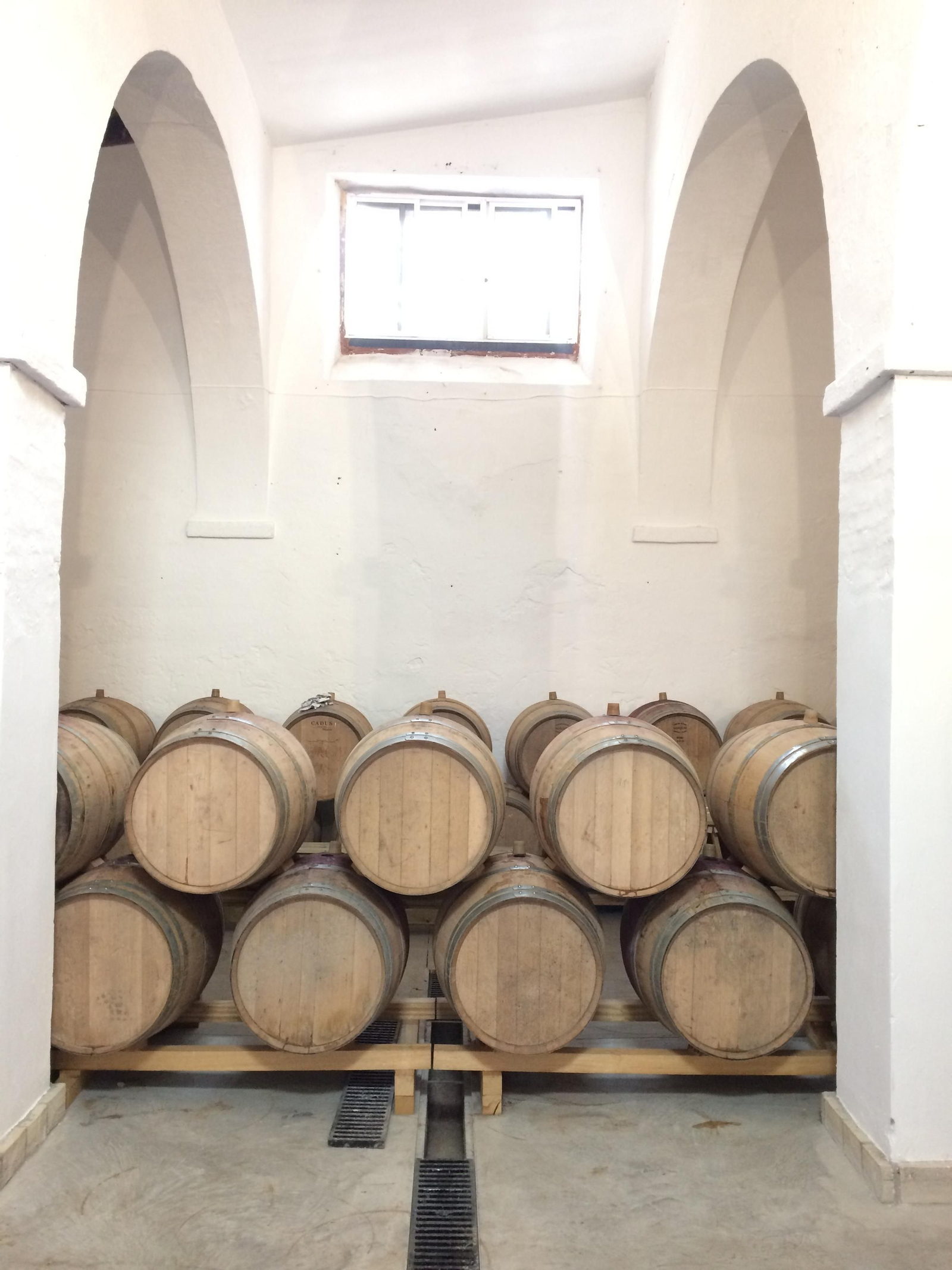 Botas de roble francés en las que se crían sus vinos en la bodega del Barrio Alto de Sanlúcar.