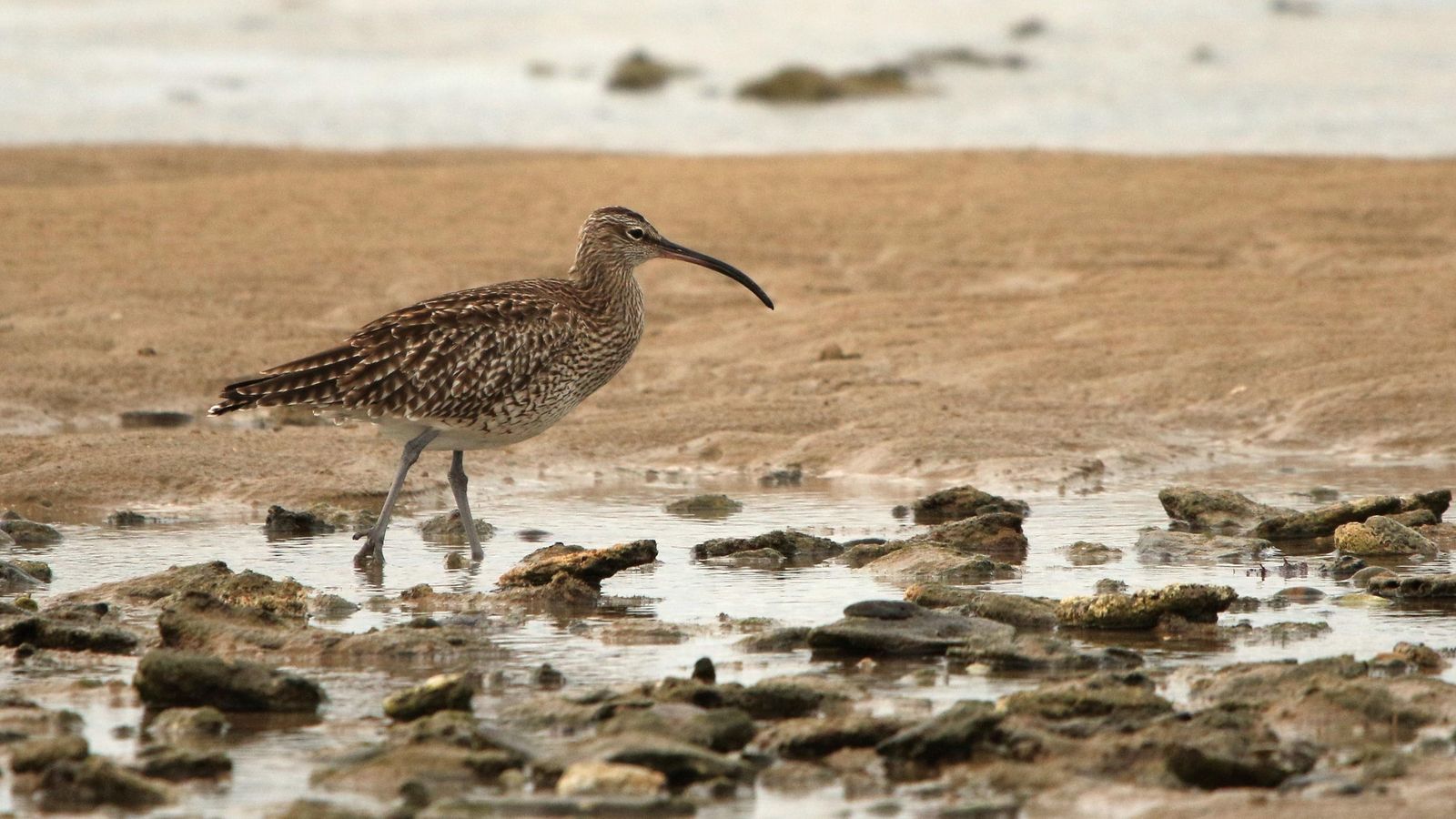 Monumento Natural Corrales de Rota