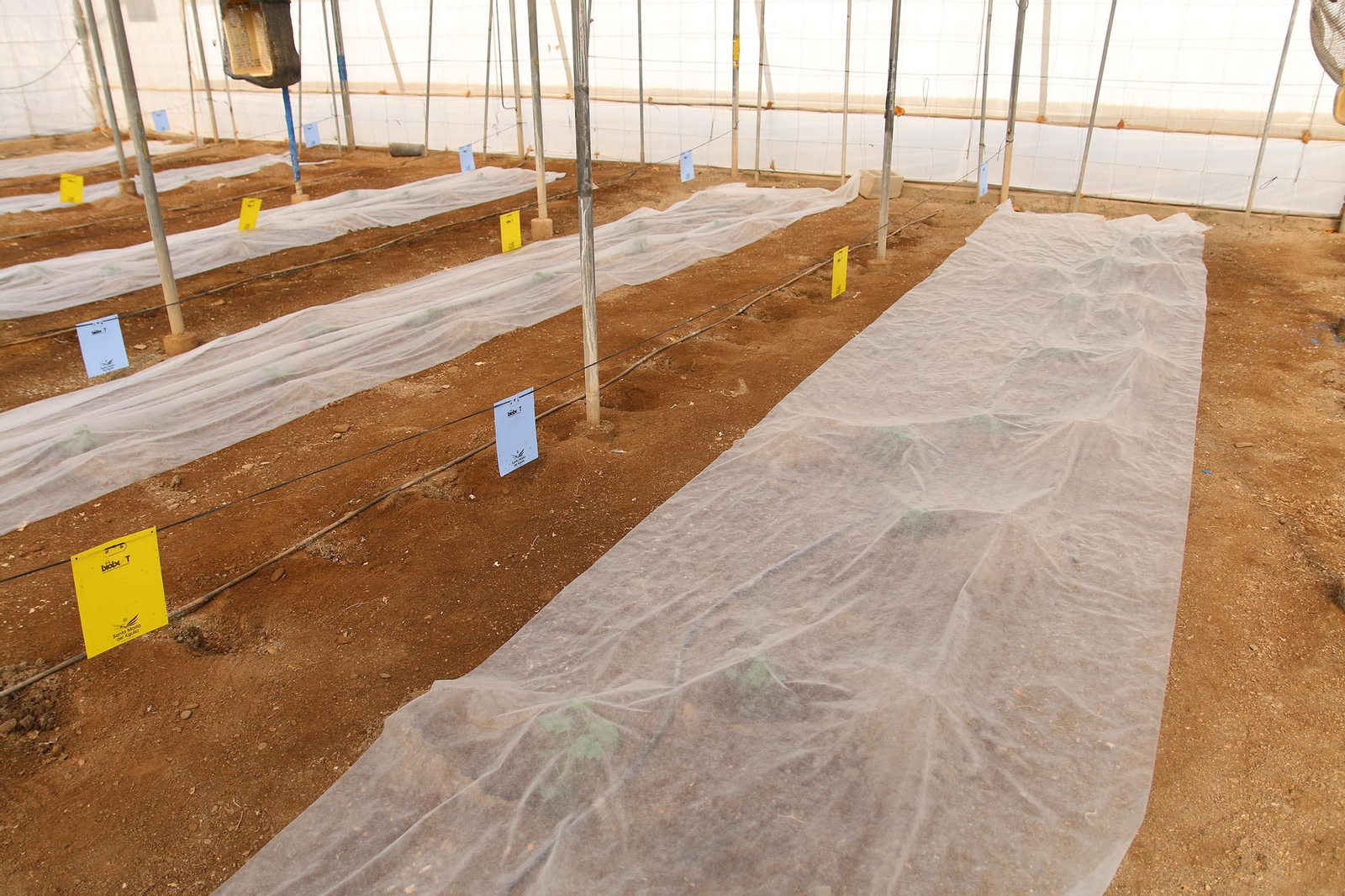 Fotogalería de la presentación de Plataforma Tierra, de Cajamar e IBM