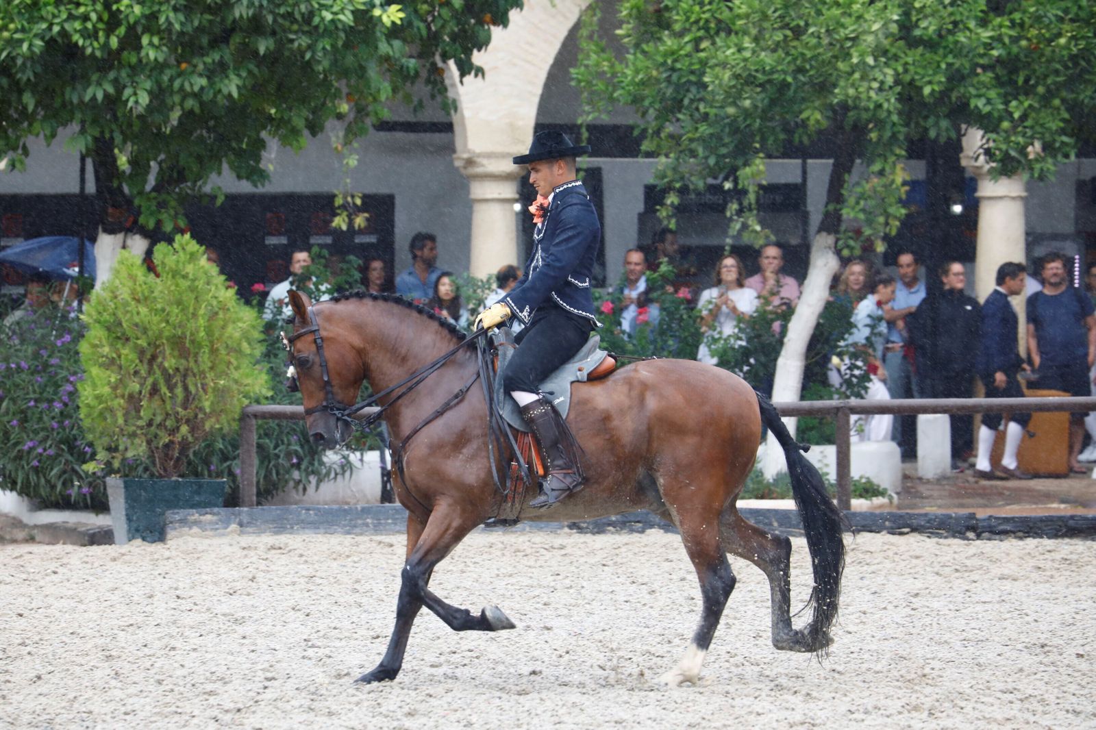 La celebración de la VI Copa de España de Alta Escuela en Córdoba, en imágenes