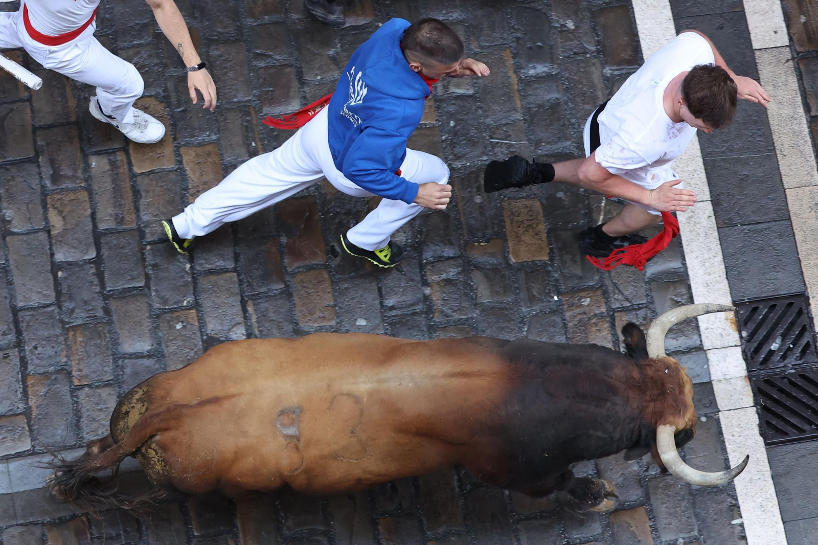 Las imágenes del encierro de los toros de Cebada Gago