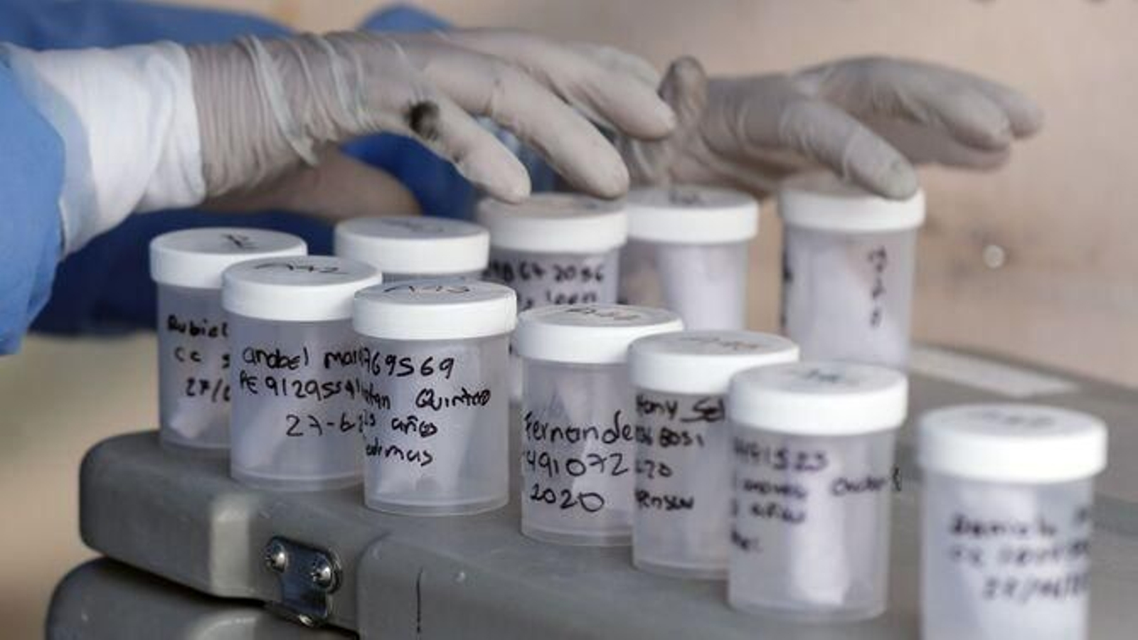 Un experto trata muestras en un laboratorio. Un experto trata muestras en un laboratorio.