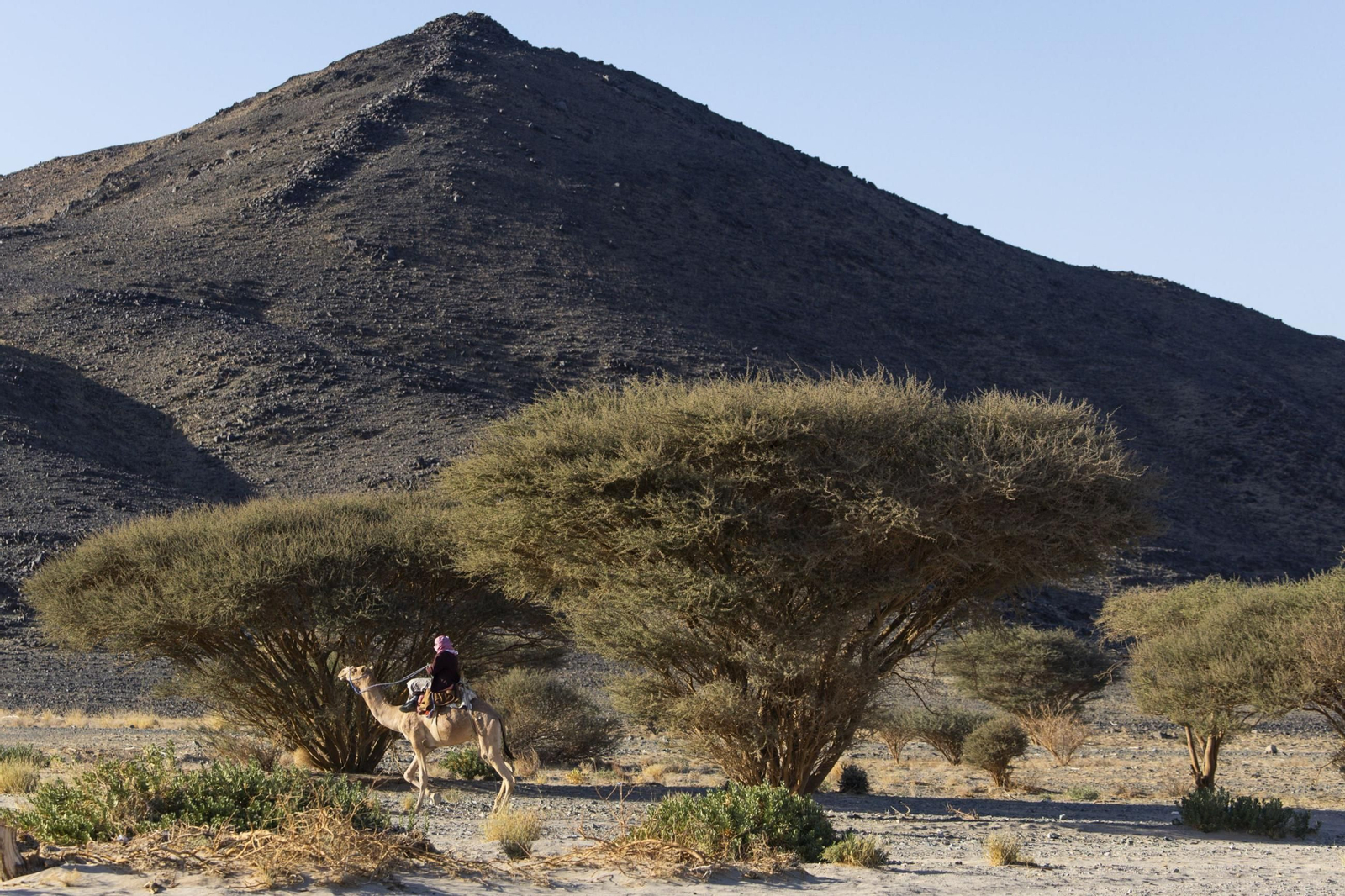 Las mejores fotos del Dakar | tercera jornada