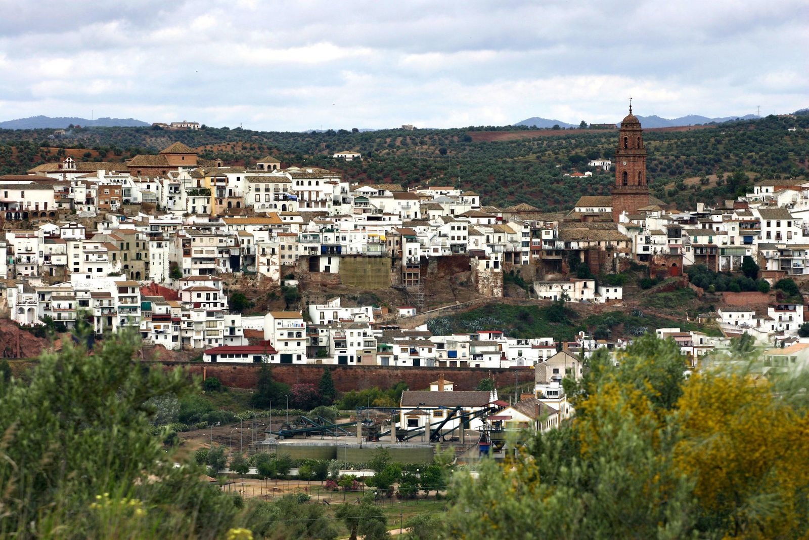 Vista panorámica de Montoro.