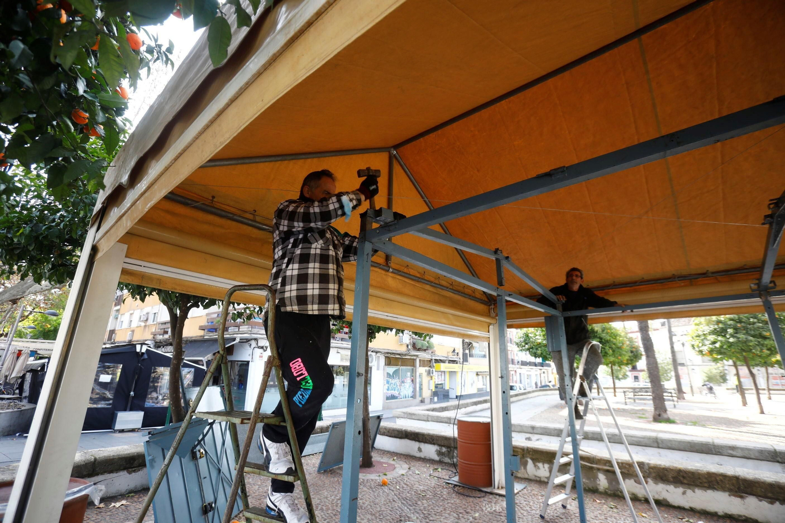 La instalación de los puestos de caracoles de Córdoba, en imágenes