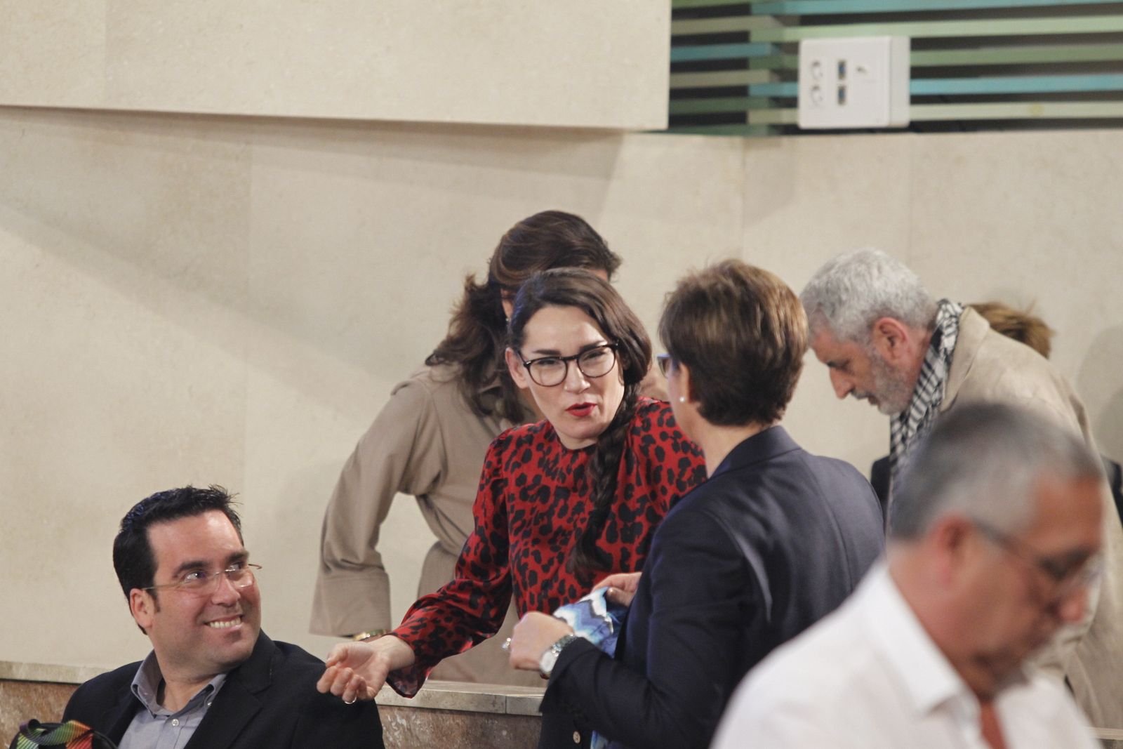 Fotogalería Pleno Extraordinario Ayuntamiento de Almería