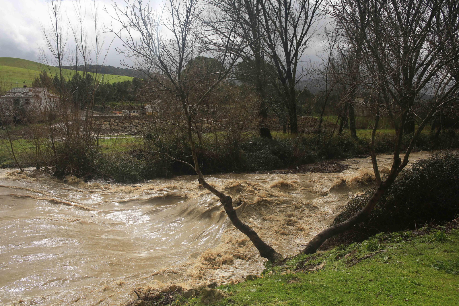 Temporal de viento y lluvia en la provincia
