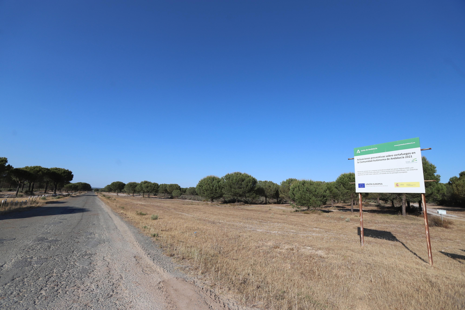 Imágenes del estado en el que se encuentran los caminos del Rocío para la Romería 2023