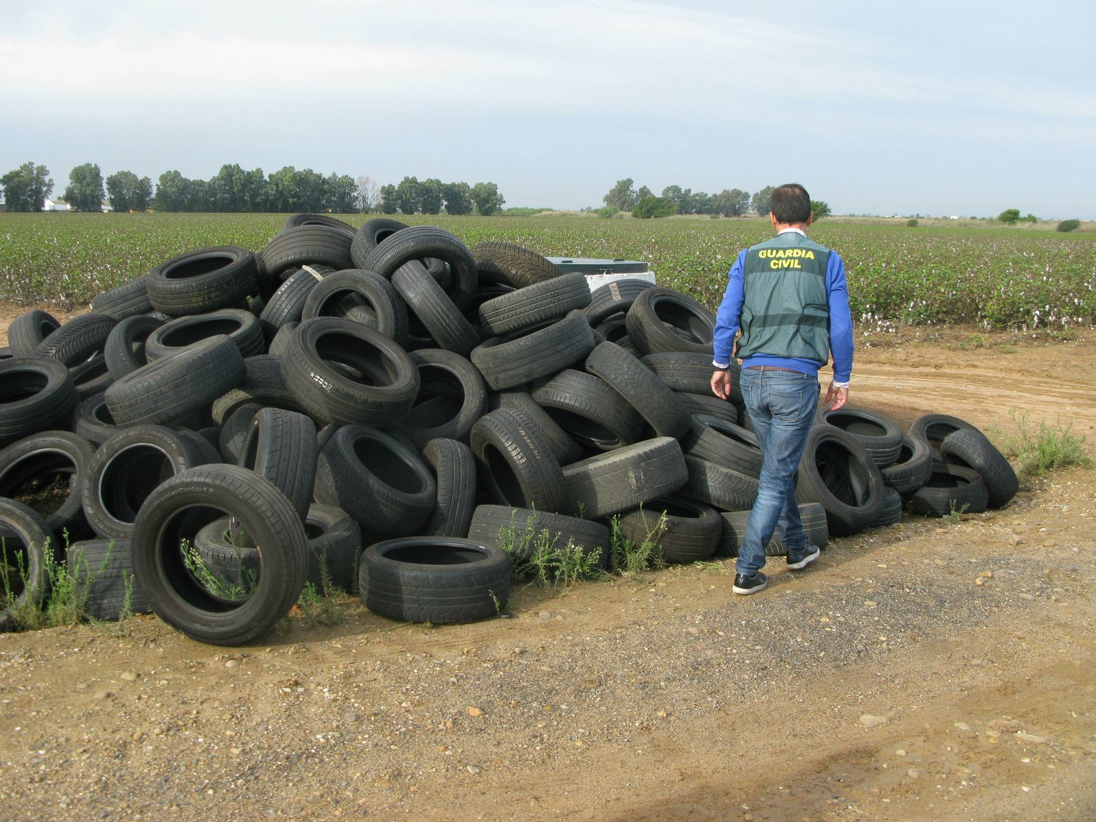 Un agente del Seprona observa los neumáticos abandonados en el campo.