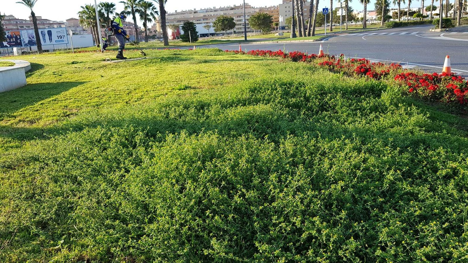Zona verde en Roquetas de Mar.