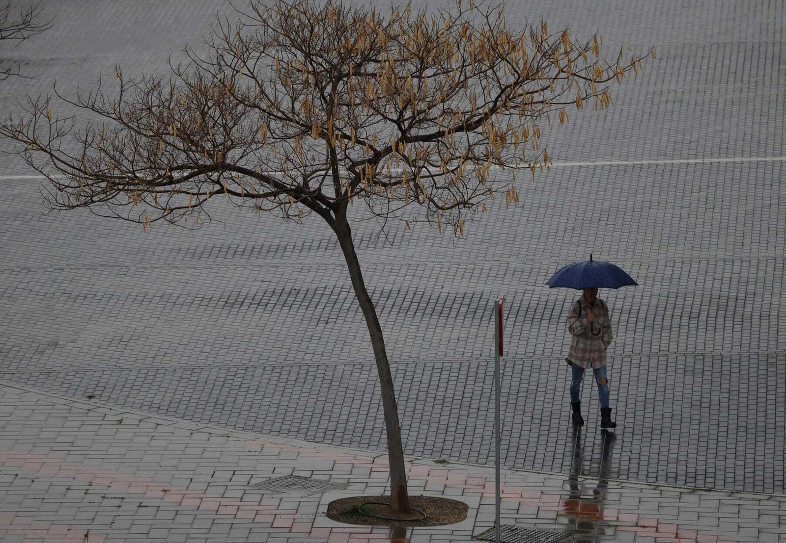 Una persona con paraguas paseando por la capital