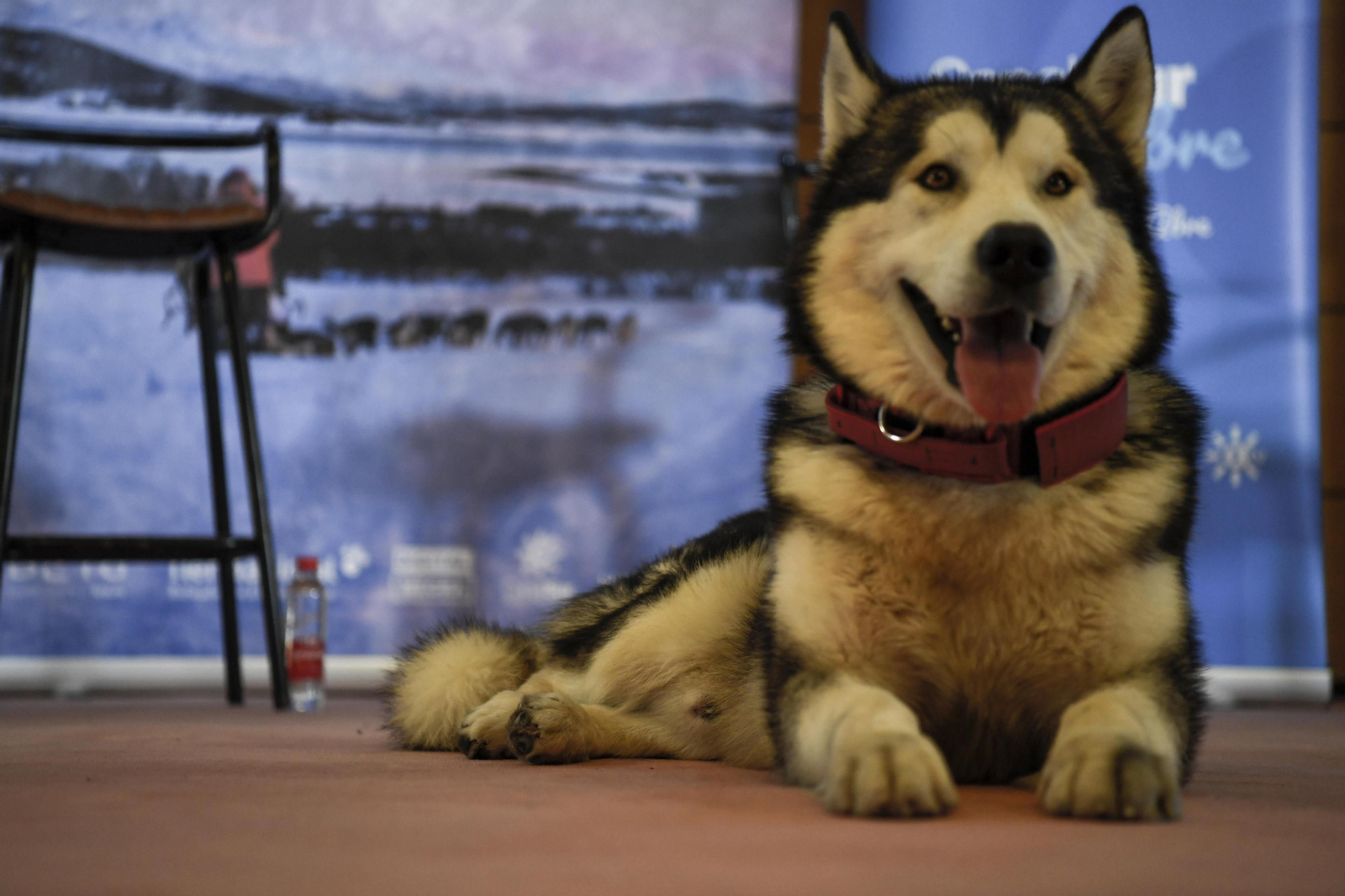 Fotos de 'Desafío Ártico' en Granada, Desafío Ártico', docuserie sobre una expedición al Polo Norte