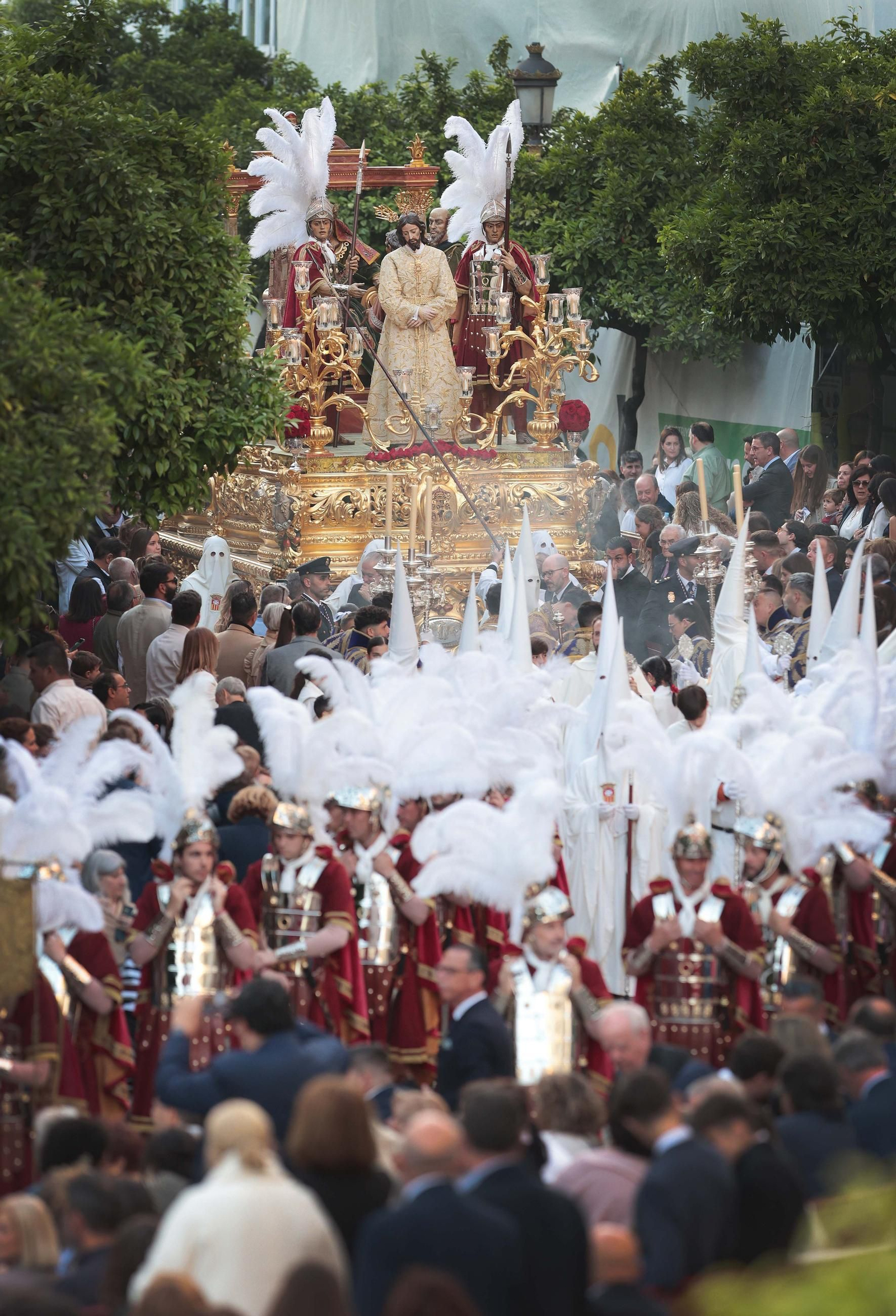 La Hermandad del Transporte en imágenes el Domingo de Ramos del 2025 en Jerez