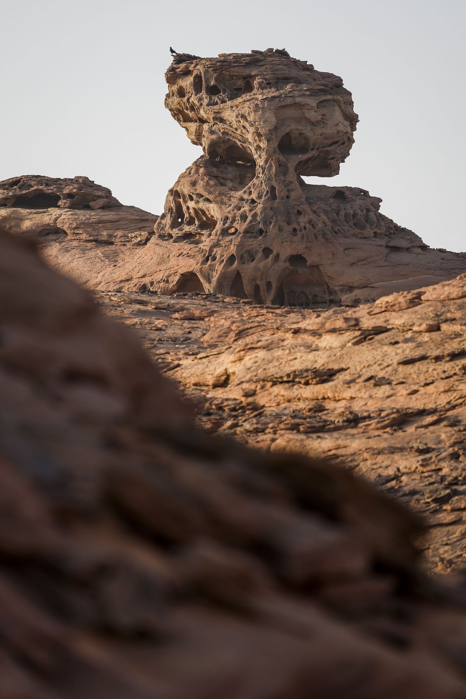 Las mejores fotos del Rally Dakar | Cuarta etapa