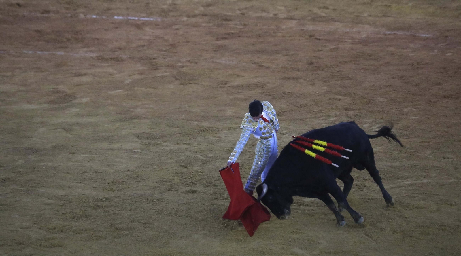 Las fotos de la novillada final de las escuelas taurinas de Cádiz, en La Línea