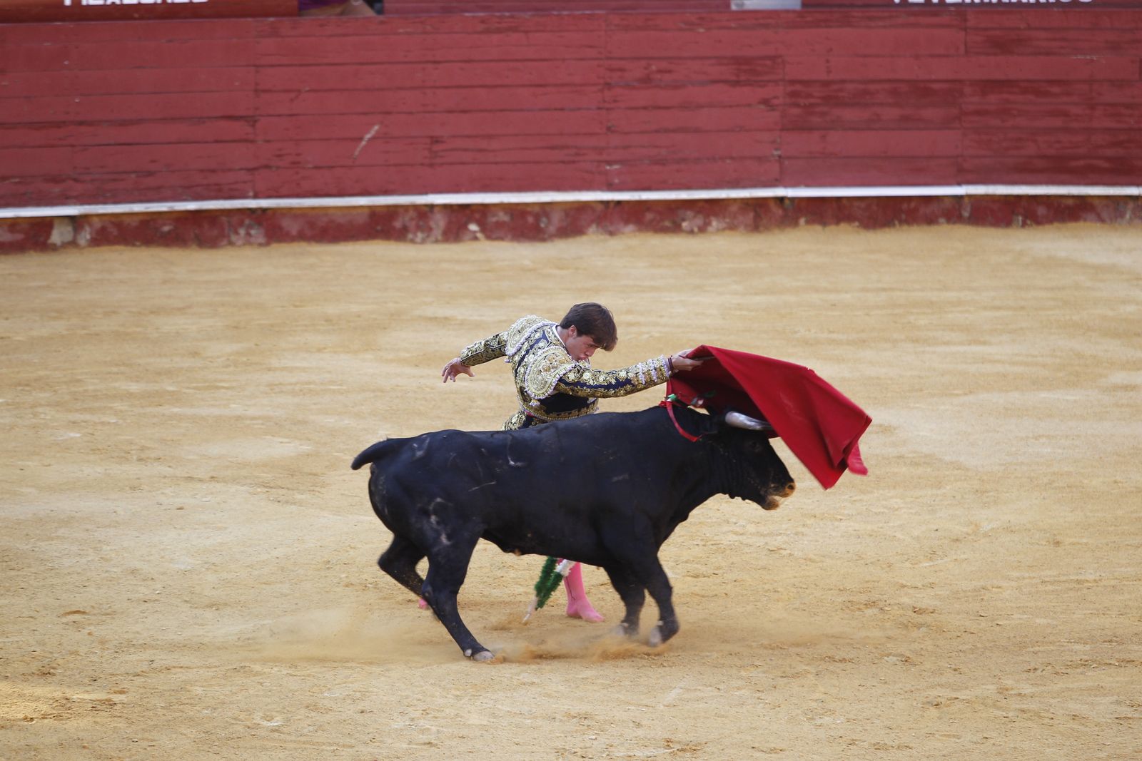 Fotogalería novillada Escuela Taurina de Almería. Feria de Almería 2019