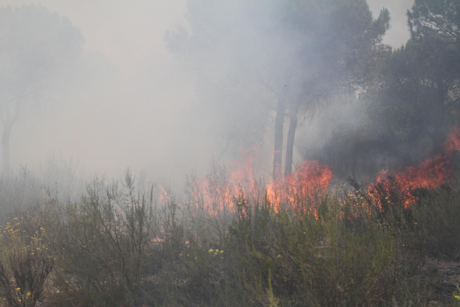 Las imágenes del incendio en Moguer y Mazagón
