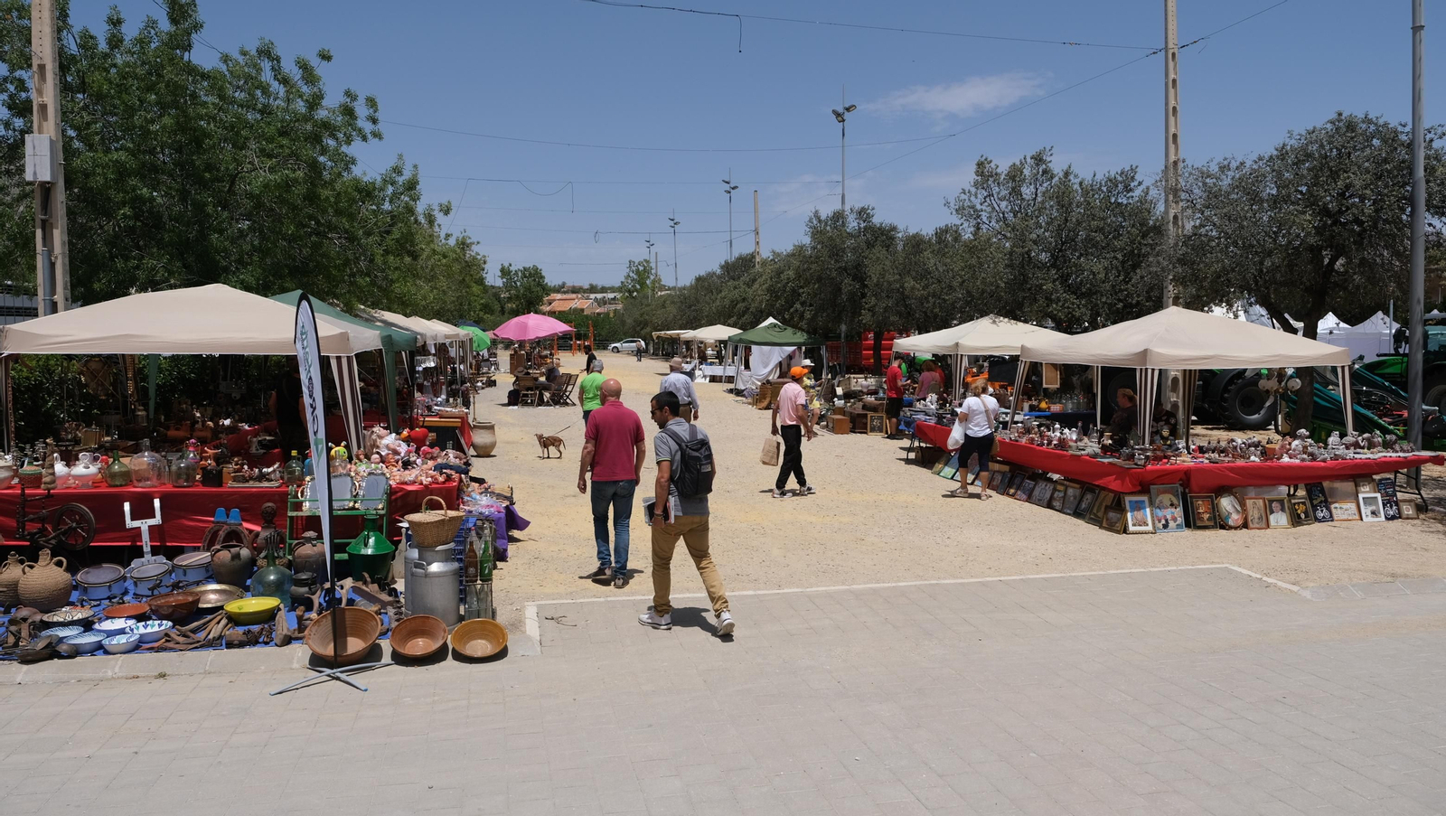 Agroferia de Vélez Rubio, en imágenes