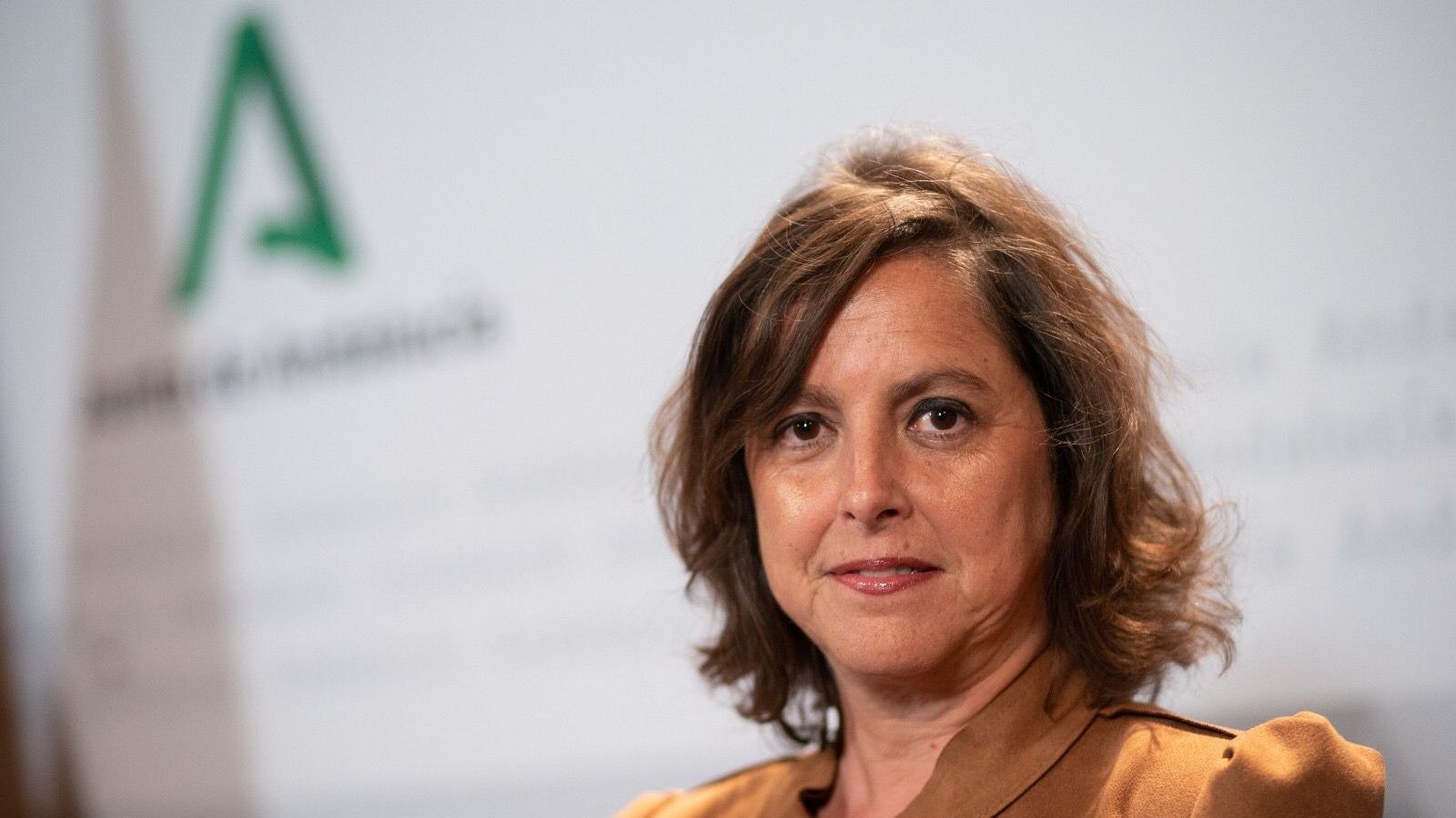 La consejera de Salud y Consumo, Catalina García.