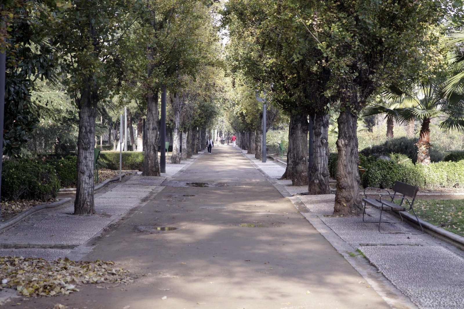 En Granada existen paseos por zonas verdes que merecen la pena recorrer
