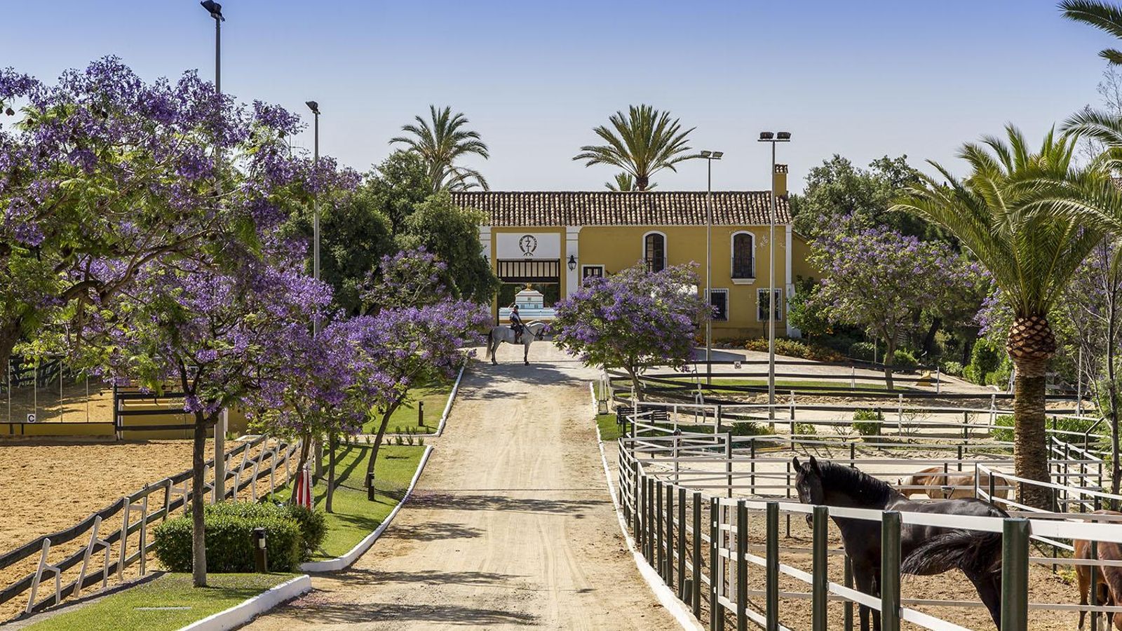 El centro ecuestre de La Zagaleta.